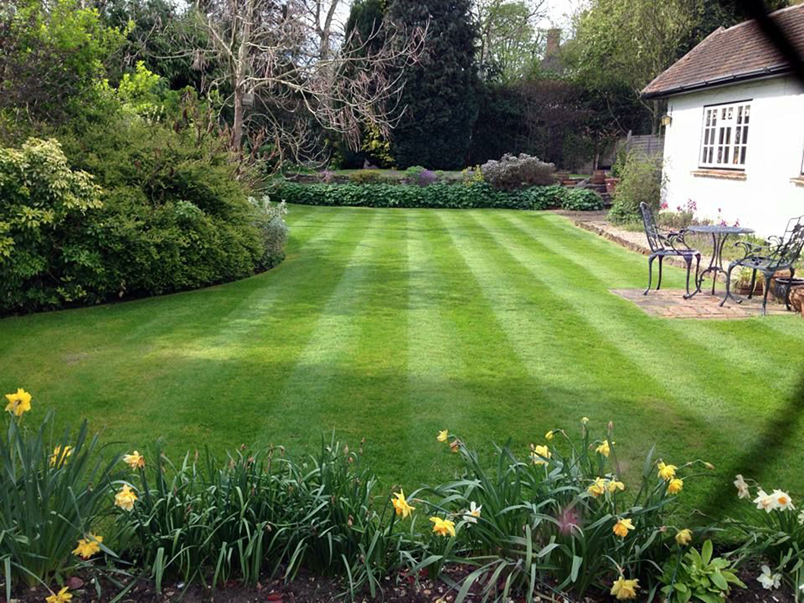 Lawn Turfing by Stone Landscapes, Woking, Surrey
